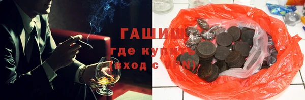 крисы Козельск