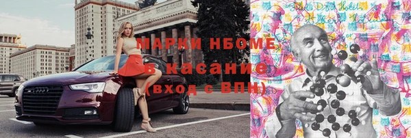 крисы Козельск