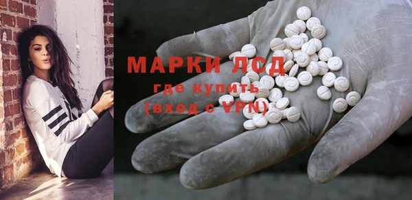 стафф Братск