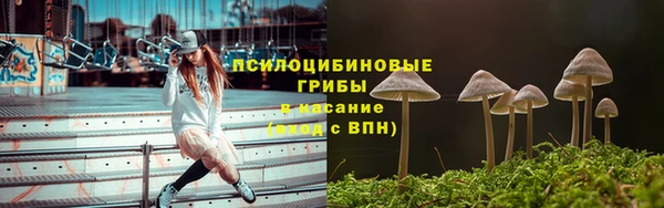 шишки Кинешма