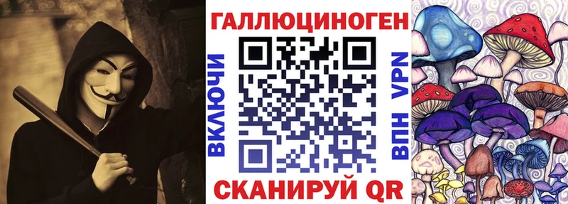 Купить  Ворсма  Псилоцибиновые грибы GOLDEN TEACHER 